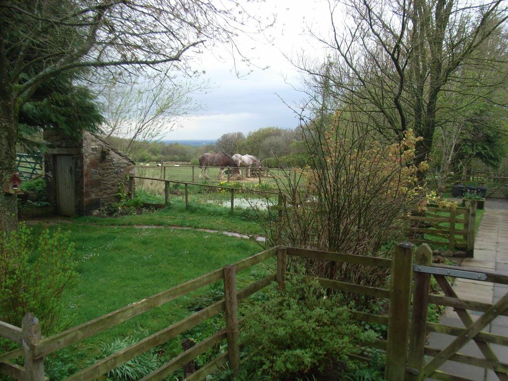Wallace Lane Farm Westward Exterior foto