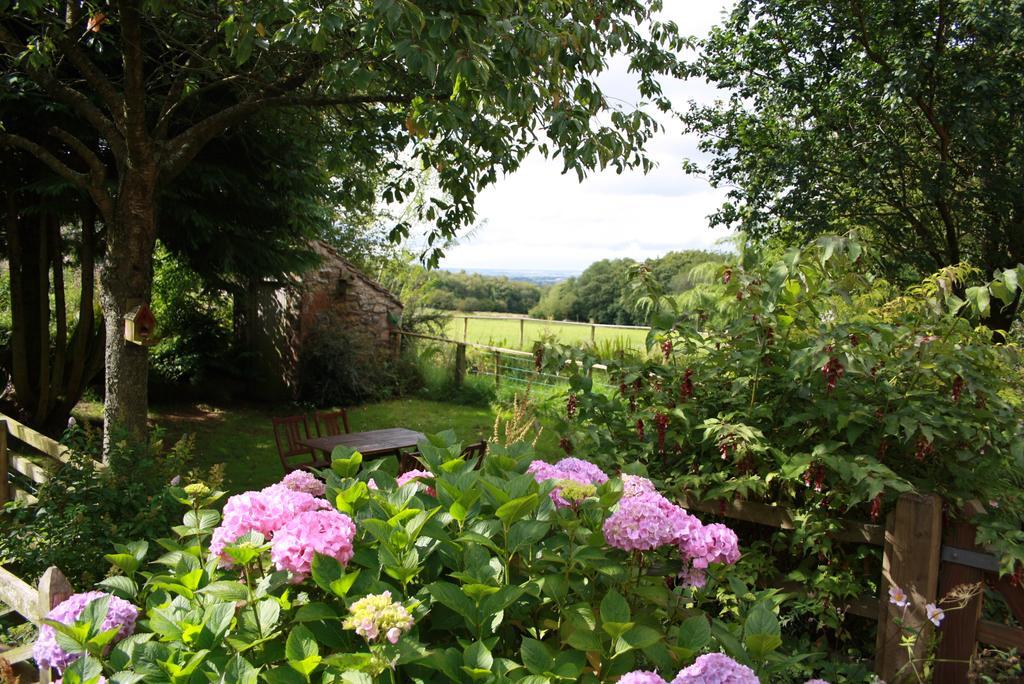 Wallace Lane Farm Westward Exterior foto