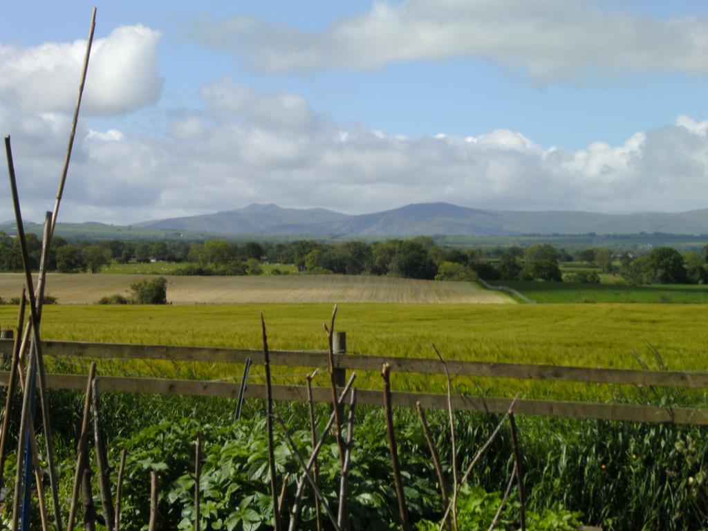 Wallace Lane Farm Westward Exterior foto