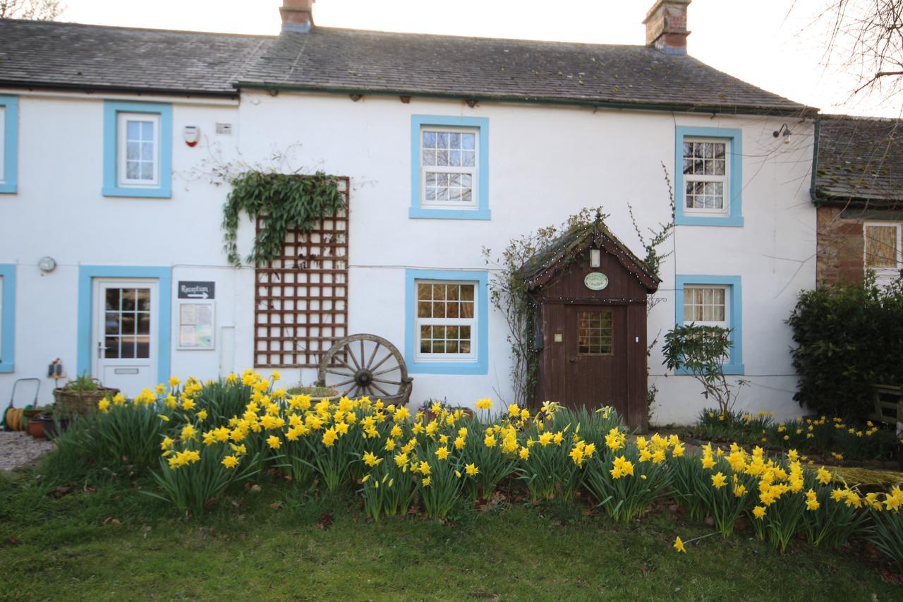 Wallace Lane Farm Westward Exterior foto