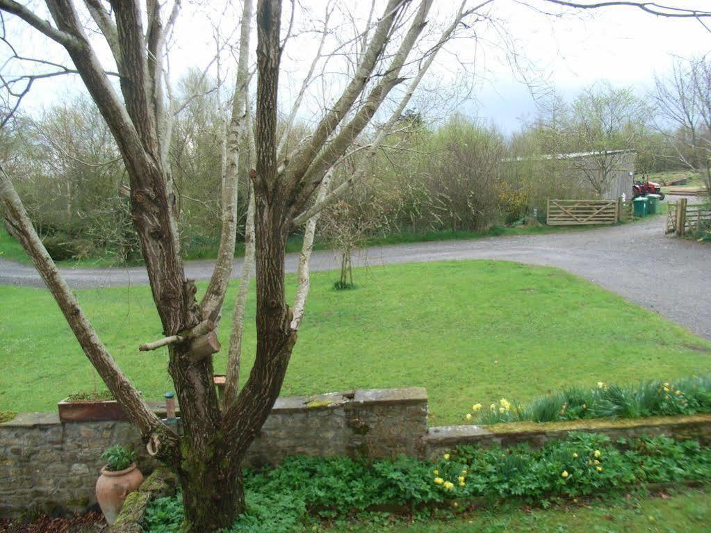 Wallace Lane Farm Westward Exterior foto